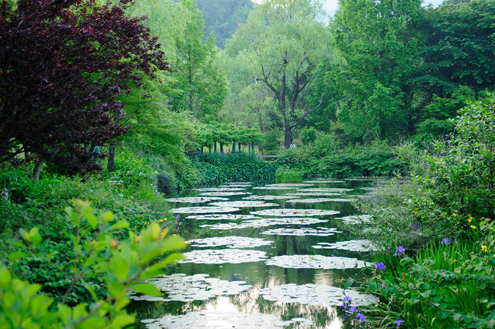 写真：たっぷりの緑に囲まれた「水の庭」の様子
