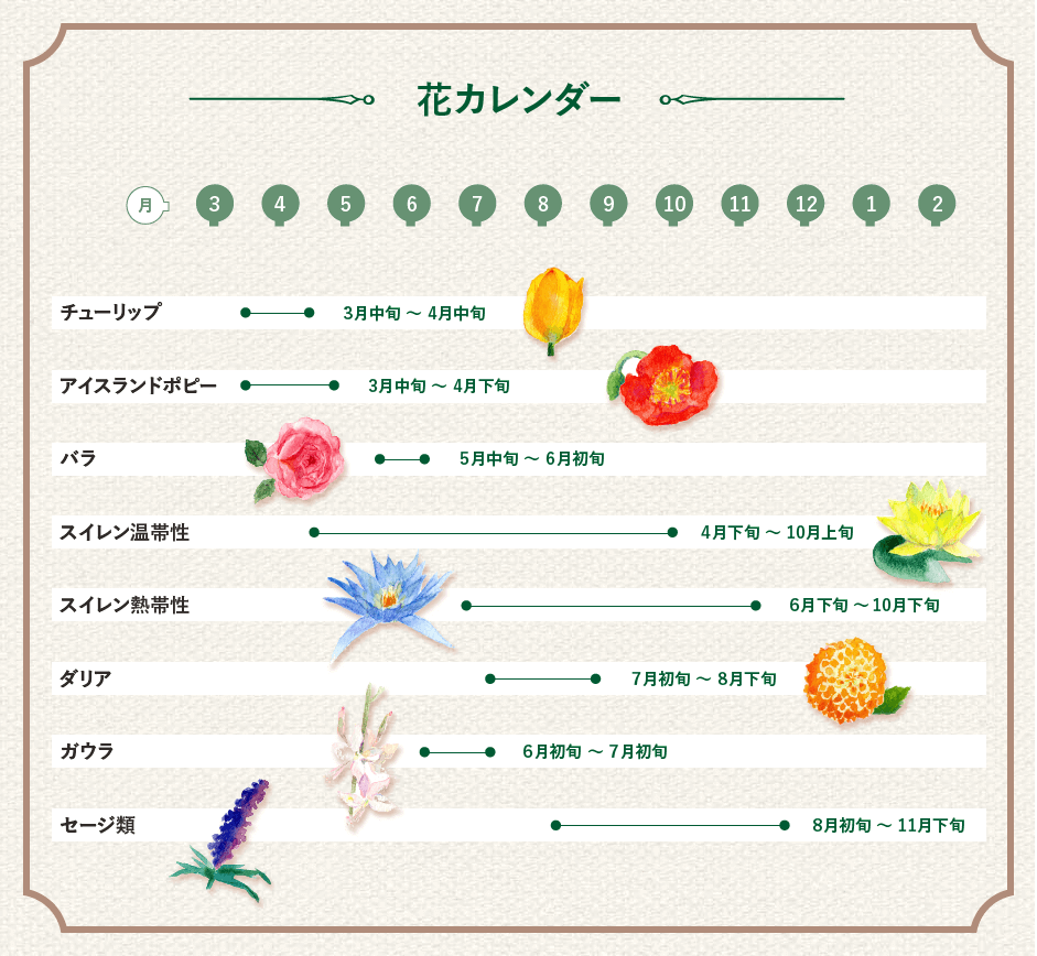 見ごろの花カレンダー