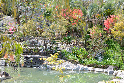 写真：池の周りに様々な木が生えたボルディゲラの庭の様子
