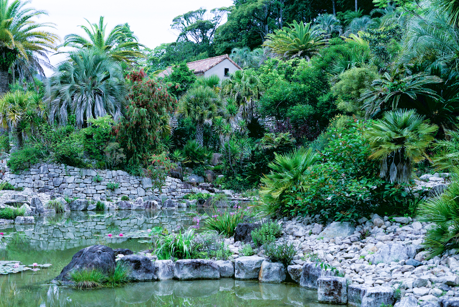 写真：ヤシの木や地中海の植物が繁るボルディゲラの庭。