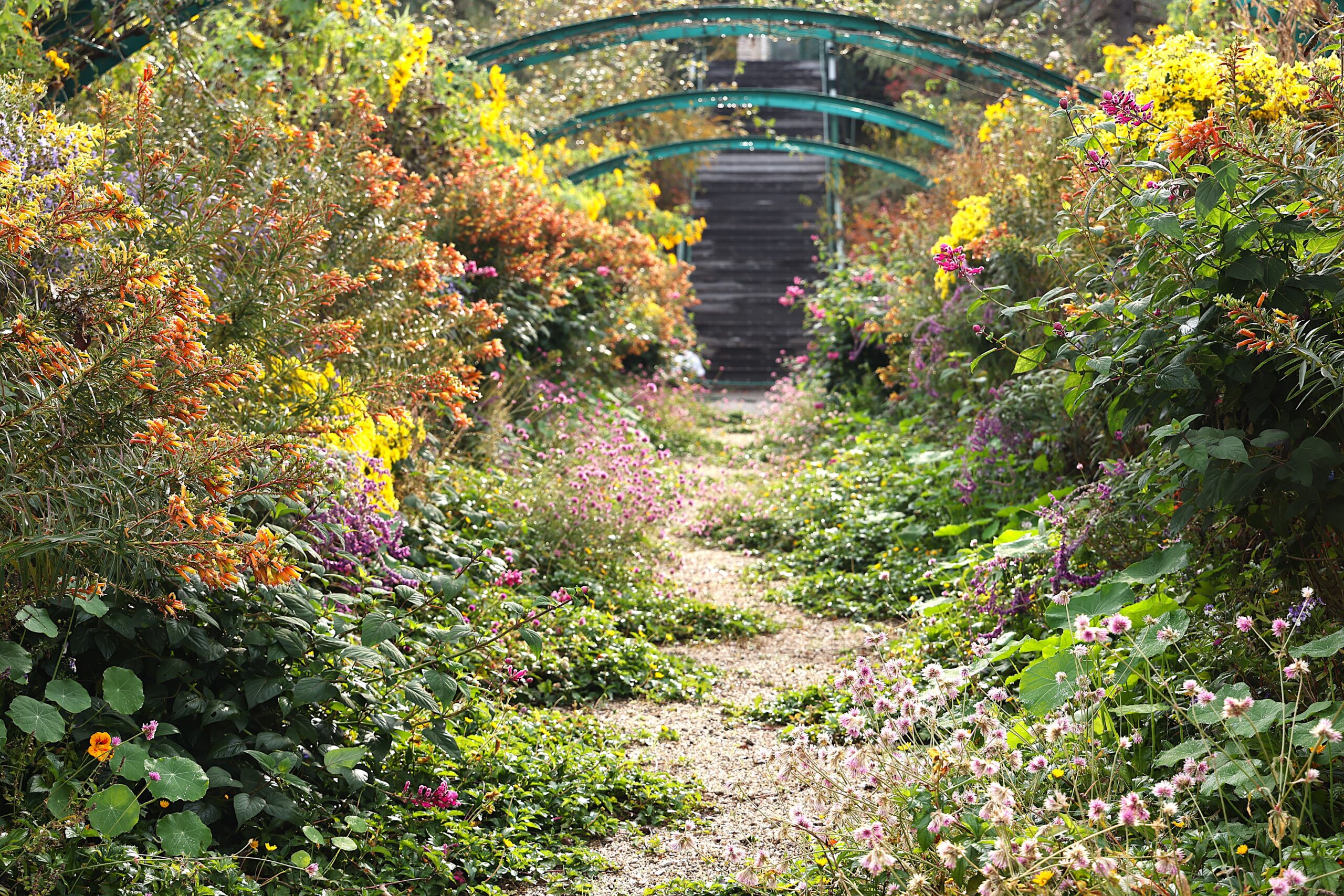 画像の 帯付き◆◆ノー皺加工最高級クールパス◆モダン翡翠緑の花古典夏浴衣◆洗える ◇ノー皺加工最高級クールパス◇高級絞り風のモダン翡翠緑浴衣
