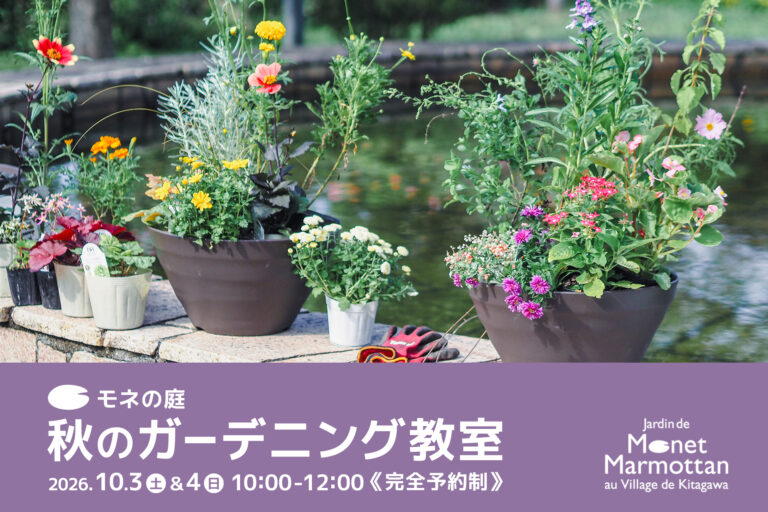 秋の寄せ植え写真